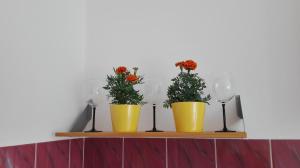 Zdjęcie z galerii obiektu Studio Krakowski Styl w Krakowie