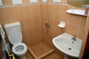 a bathroom with a shower and a toilet and a sink at Pensiunea La Palaguta in Baia Mare +12 photos