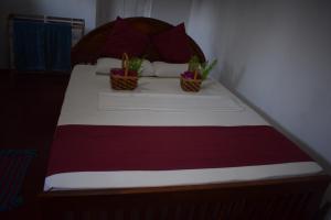 ein Bett mit zwei Topfpflanzen darüber in der Unterkunft Yala Redhill in Yala