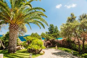 a palm tree in a yard with the ocean in the background at Villa Anna in Porto Cervo