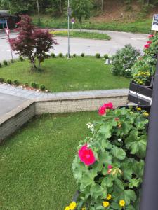 Zahrada ubytování Hotel Pension Waldesruh