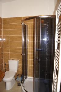uma casa de banho com um WC e uma cabina de duche em vidro. em Asian Zen em Místek