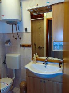 een badkamer met een wastafel, een toilet en een spiegel bij Mario (RADE) in Korčula