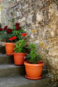 Afbeelding uit fotogalerij van Mario (RADE) in Korčula