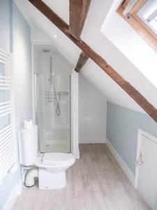 a bathroom with a shower and a toilet in a attic at Serendipity, an apartment on the high street! in Aldeburgh