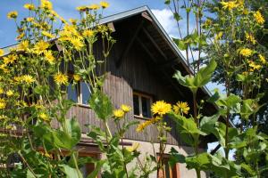 a house with yellow flowers in front of it at Notre Cachette in Biffontaine