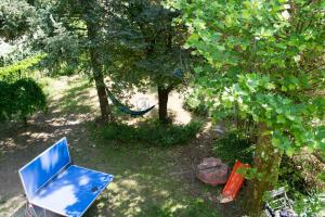 バラトンセメッシュにあるMorvay Villaの木々とハンモックのある庭の青い椅子