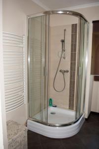 バラトンセメッシュにあるMorvay Villaのバスルーム(ガラス張りのシャワー付)