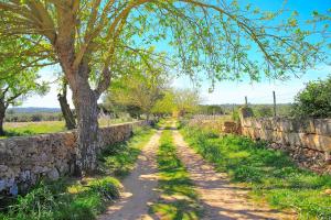 Zahrada ubytování Sa Cabaneta S original ETV 9570 by Mallorca