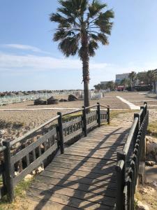 drewniany deptak z palmą na plaży w obiekcie Playamar Beach w mieście Torremolinos