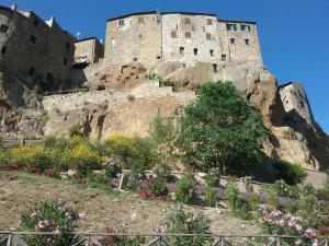 a castle on the side of a mountain with flowers at Apartment Seminello in Pitigliano