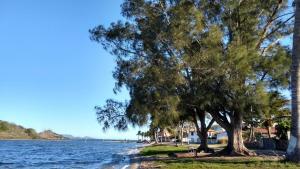 a group of trees on the shore of a body of water at Apartamento Cobertura in São Pedro da Aldeia