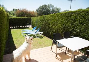 Foto dalla galleria di Casas Plus Costa Brava a L'Estartit