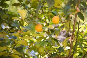 Φωτογραφία από το άλμπουμ του La Spiaggetta Fontane Bianche σε Fontane Bianche