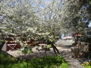 Ogród w obiekcie Casa Rural La Gustoza