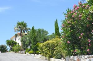 A garden outside West Crete Chania - Villa Europa