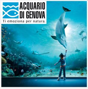 una persona parada frente a un acuario con un delfín en “La maison” nel cuore di Genova, en Génova