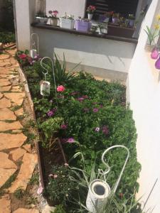 un jardín con flores y una ventana con una cornisa en Apartments Marija, en Stari Grad