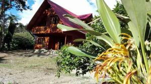 a wooden house with a plant in front of it at La Cabaña de Noa in Oxapampa