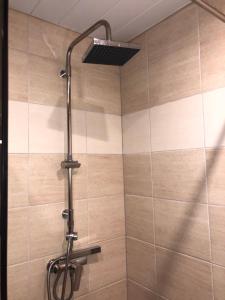 a shower with a shower head in a bathroom at Apartments Weintrauben in Pärnu