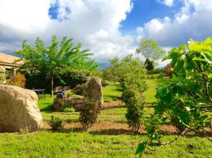 un giardino con rocce e alberi in un campo di Clos Simoni a Figari