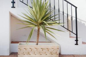 Zdjęcie z galerii obiektu Cortijo Luque w mieście Nerja