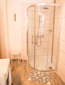 a shower with a glass door in a bathroom at Villa Silvanus in Ebensee