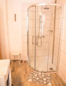 eine Dusche mit Glastür im Bad in der Unterkunft Villa Silvanus in Ebensee