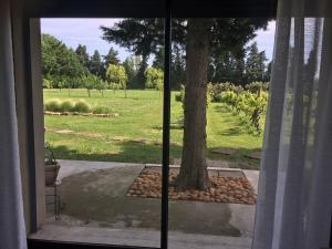 Zahrada ubytování Safranière des Sorgues
