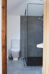 a bathroom with a toilet and a glass shower at Hillside Lodge in Rostrevor