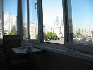 una finestra con vista sulla città di Apartments near POLITECH a Kiev