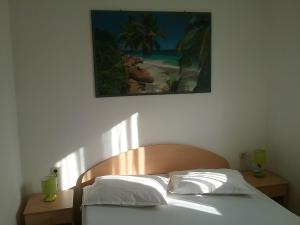 Postel nebo postele na pokoji v ubytování Apartmani PISAC