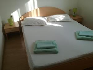 Postel nebo postele na pokoji v ubytování Apartmani PISAC