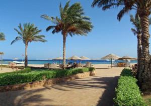 Gallery image of Sharm El Naga Resort and Diving Center in Hurghada