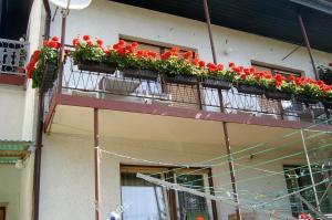 Balkón nebo terasa v ubytování Guest House Ivanka