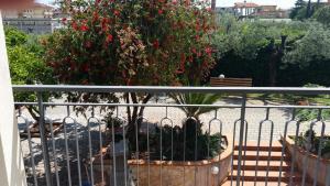 フォルミアにあるVilla Enzaの赤い花の大茂みの柵