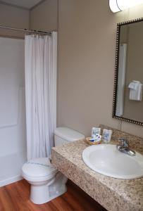 a bathroom with a sink and a toilet and a mirror at Triple J Hotel in Dawson City