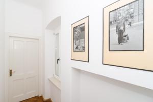 Fotografia z galérie ubytovania Apartment Entre les jardins v Dubrovníku + 31 fotografií