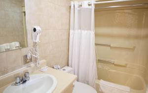 a bathroom with a sink and a toilet and a shower at Auberge La Rocaille in Shawinigan +21 photos