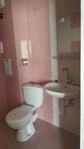 Baño de color rosa con aseo y lavamanos en АМИДА, en Varvara