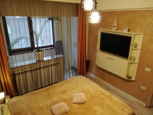 a bedroom with a bed and a tv and a window at Tomis Apartament in Constanţa