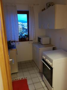 Kuchyň nebo kuchyňský kout v ubytování Apartman Ada