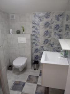 Koupelna v ubytování Apartmani Fran Vir