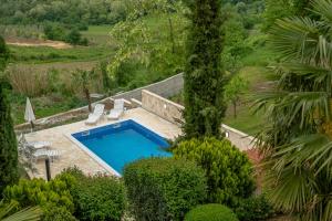 an overhead view of a swimming pool in a garden at Holiday Home Vizinada in Vižinada