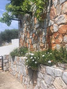 Fotografie z fotogalerie ubytování Maria's Garden v destinaci Galatás
