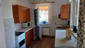 a small kitchen with a sink and a refrigerator at Marina u Chmiela in Wołkowyja