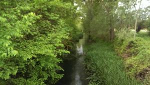 a stream in the middle of a field with trees at Villa dei Pescatori in LʼAquila