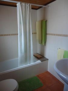 a bathroom with a shower and a toilet and a sink at Casa Campo e Praia in Rogil