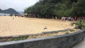 Plage de l'hôtel ou située à proximité