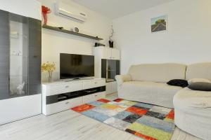 TV a/nebo společenská místnost v ubytování Apartments Elviana